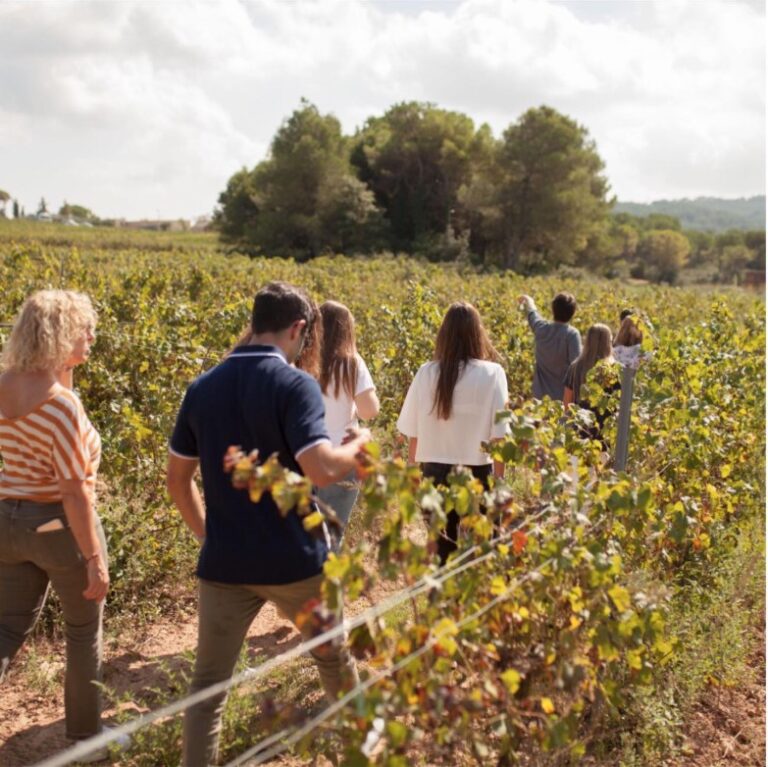 Celler Pla de Morei