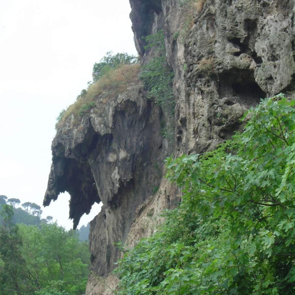 NEAN – Parc Prehistòric de Capellades