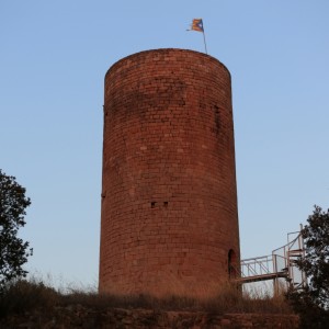 Torre de la Manresana