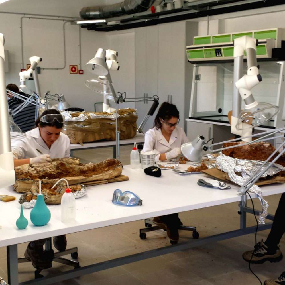 Centre de Restauració i Interpretació Paleontològic – CRIP