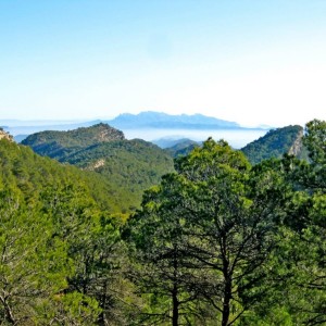 Agulla Grossa, l’espadat de l’Anoia