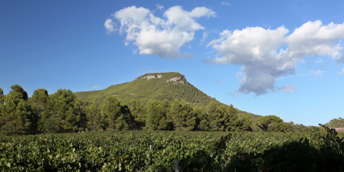 6 propostes per fer cim a l’Anoia