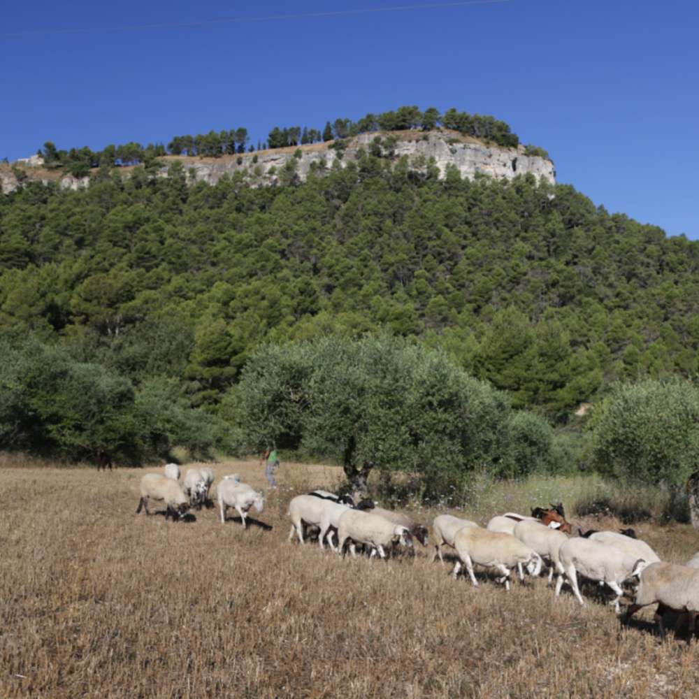 La Tossa, el balcó de la Conca