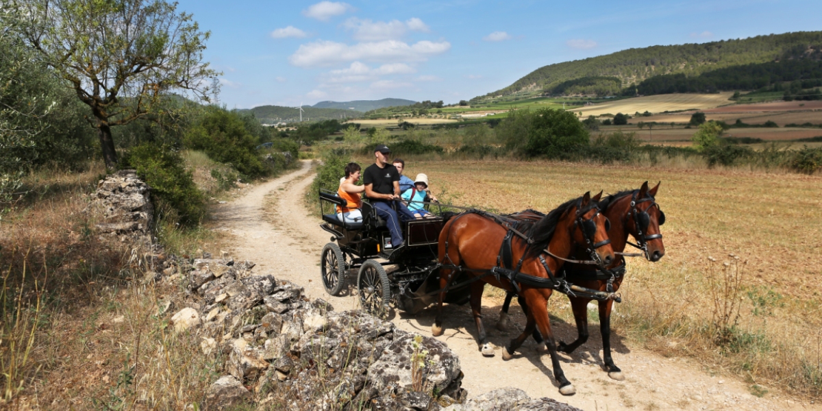 Per deixar-te portar