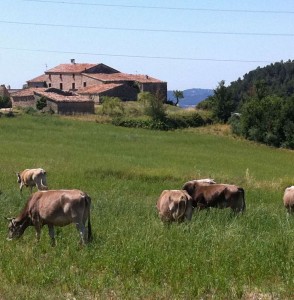 Can Mabres, carn de criança natural directe del camp a la porta de casa