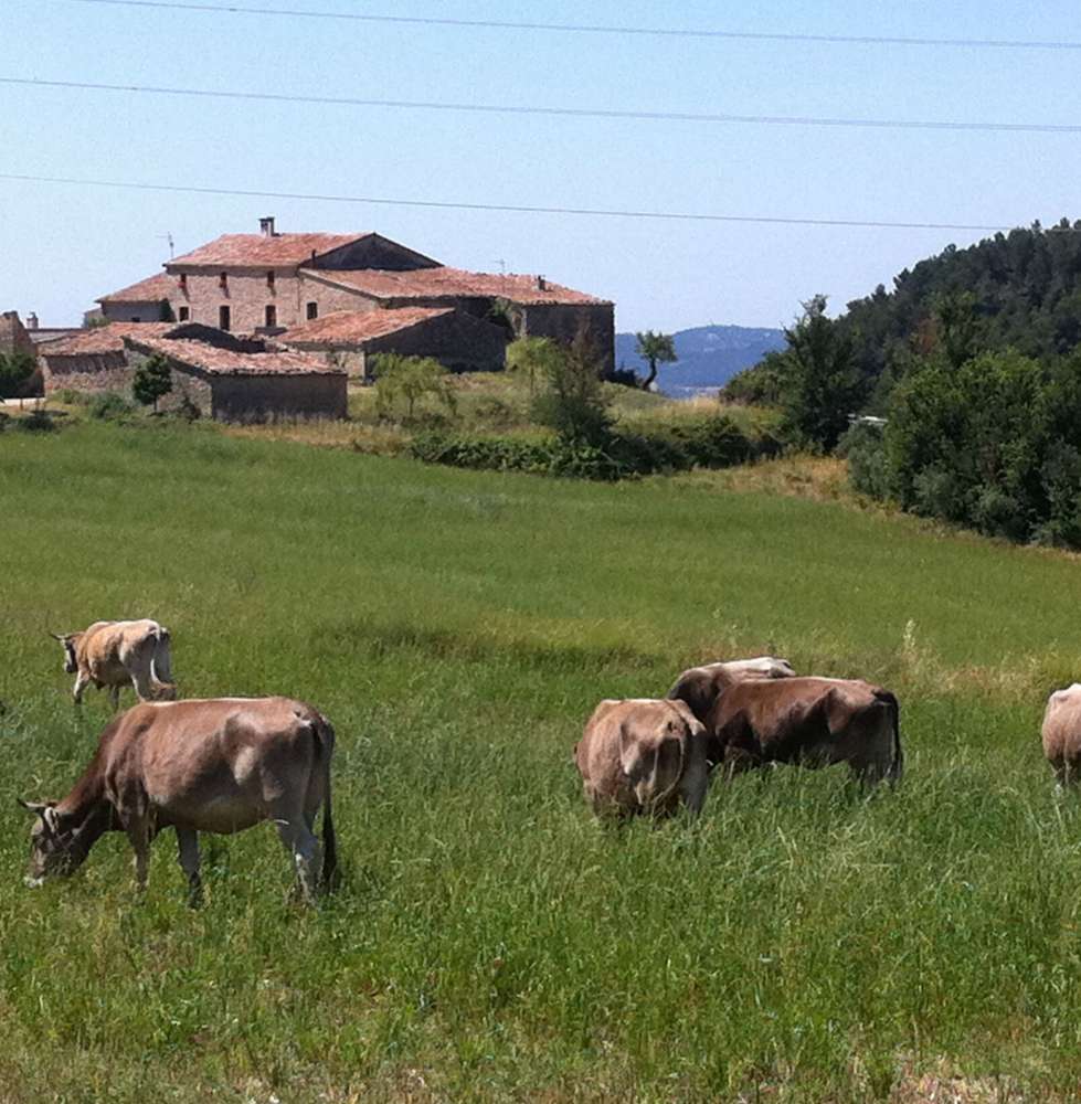 Can Mabres, carn de criança natural directe del camp a la porta de casa