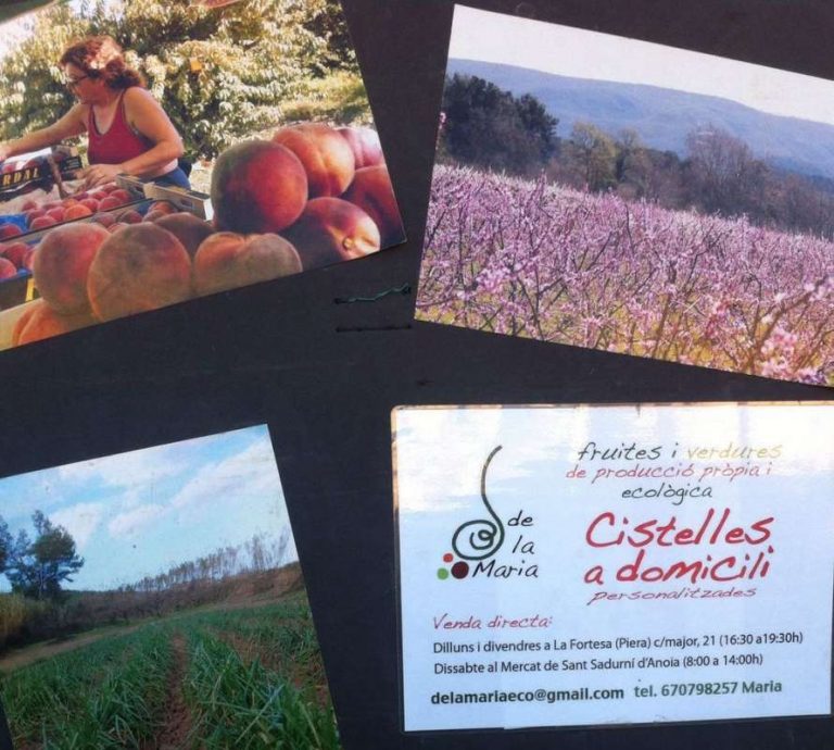 De la Maria: Fruites i verdures ecològiques i a domicili