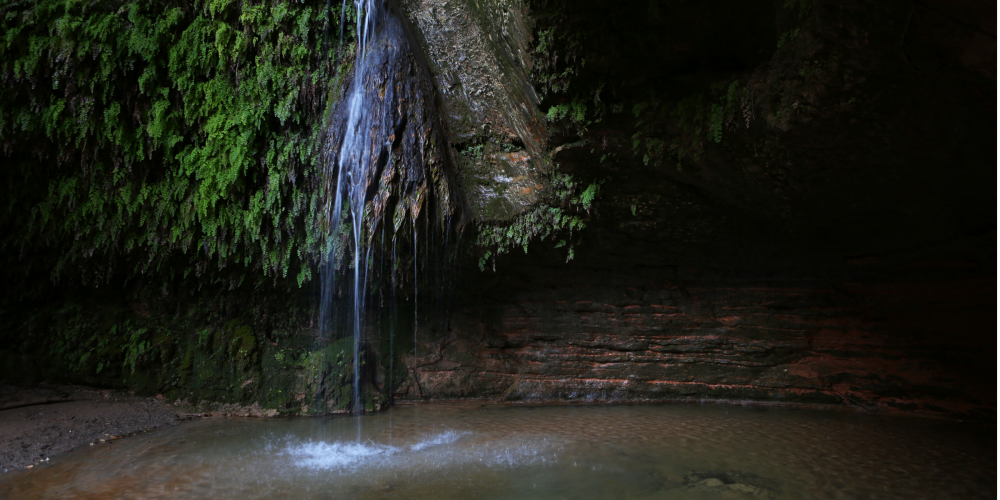 Quan l’Anoia torna a rajar: salts, gorgs i fonts per escoltar l’aigua