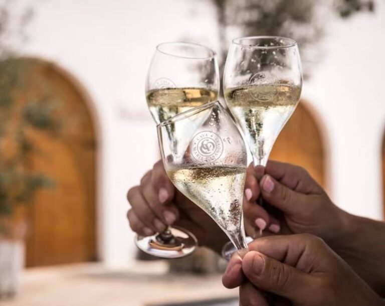 Cava Maria Casanovas
