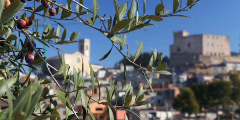 Ous Marimon, més frescos impossible