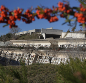 Visites al Parc del Cementiri Nou d’Igualada