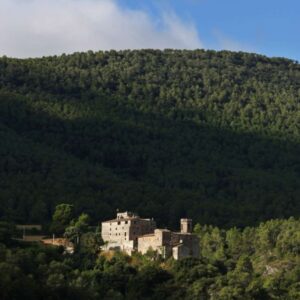 Castell d’Orpí