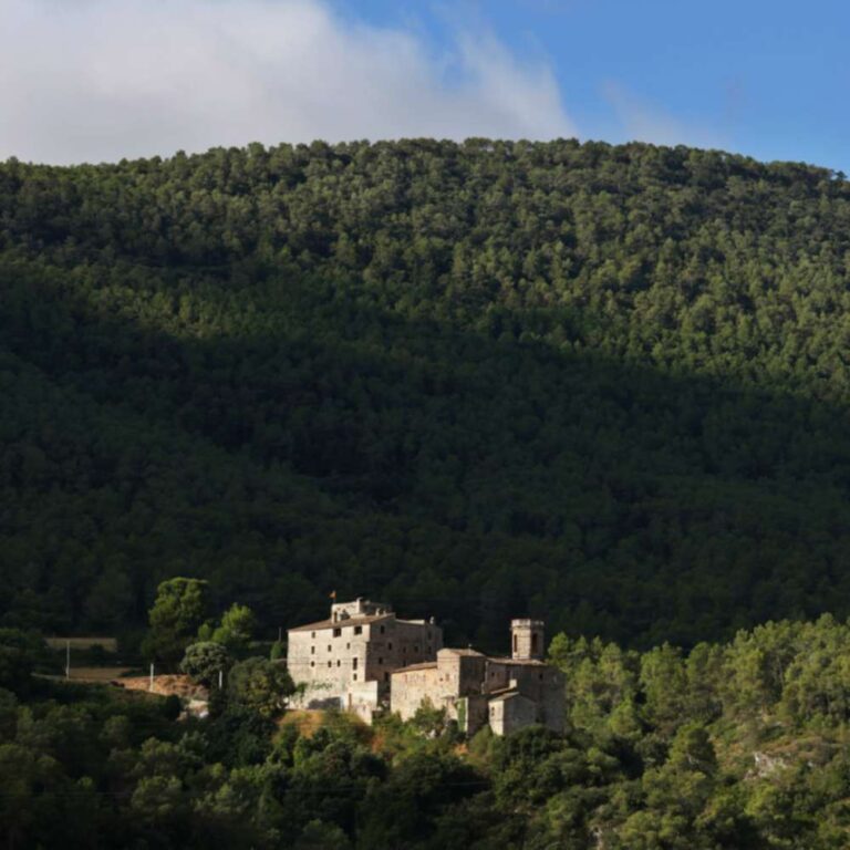 Castell d’Orpí