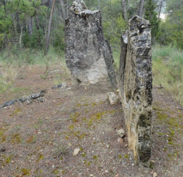 Sepulcre Megalític de Comallagosa.