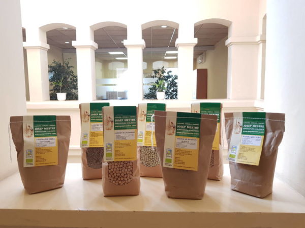 Eco Pep Mestre camp de colza5