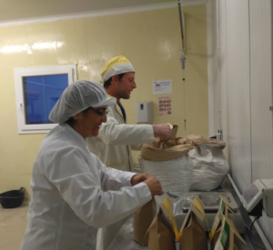 Llegums, cereals i farines Josep Mestre