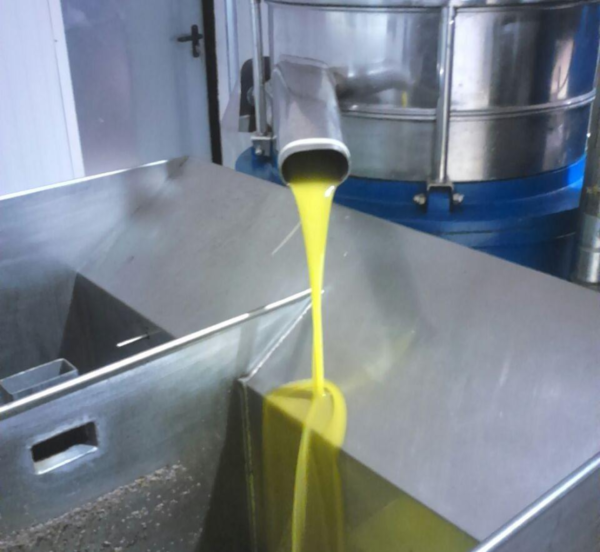 Solana de CollBas (2)