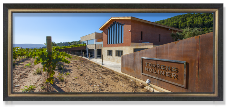 Torrens Moliner