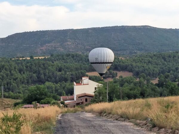 WhatsApp-Image-2018-08-01-at-19.05.12