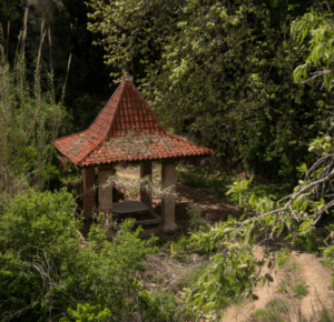 font ocata