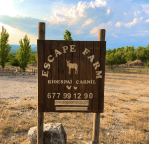 Escape Farm Anoia