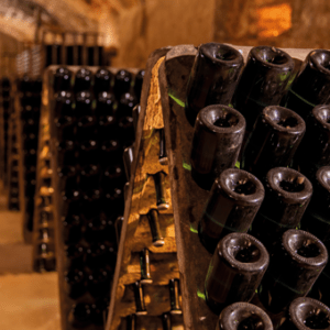 Experiències enoturístiques úniques a l’Anoia