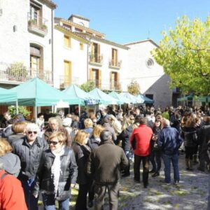 Mostra de Vins d’Altura a La Llacuna