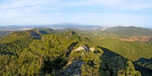 Santa Maria de Miralles