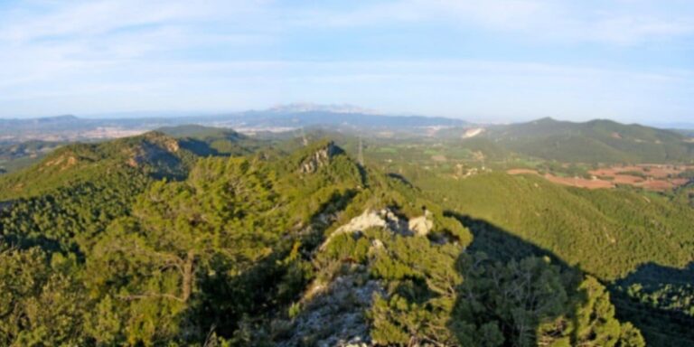 Santa Maria de Miralles