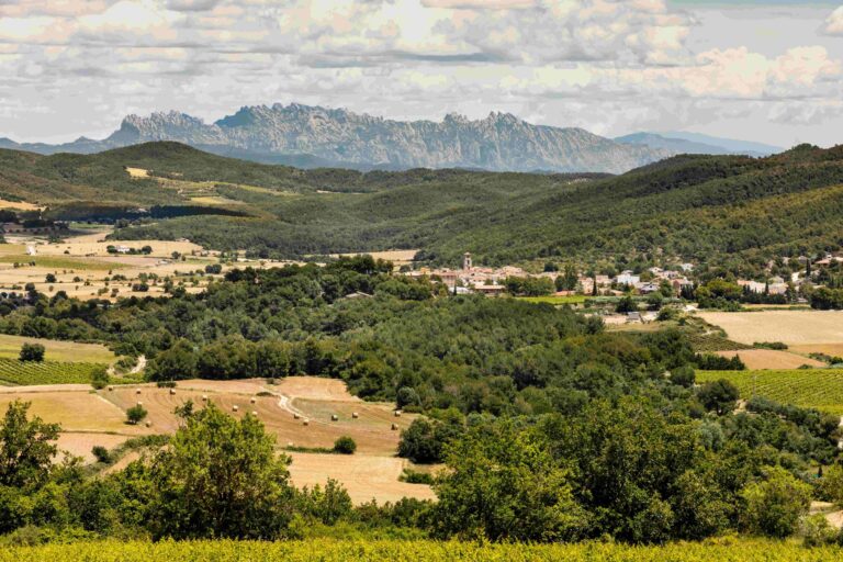 Un tomet per la Llacuna