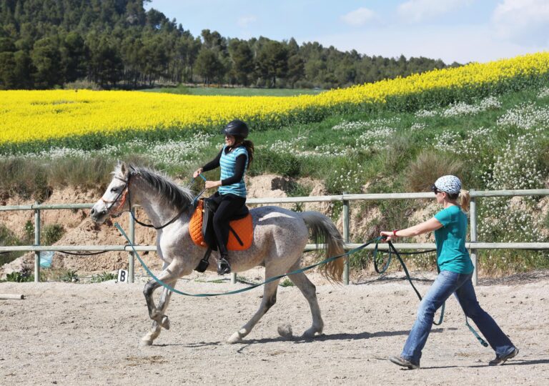 Activitats a cavall