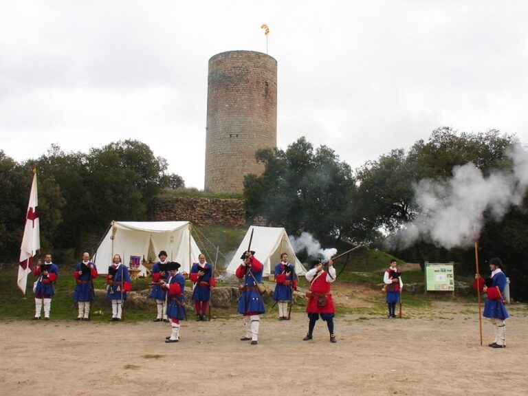 Batalla de Prats de Rei