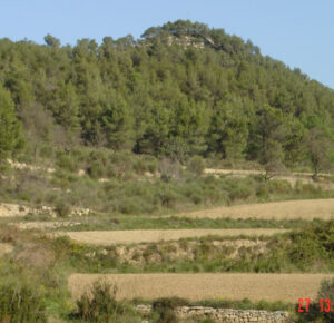 Pujol de la Guàrdia a Vilanova del Camí