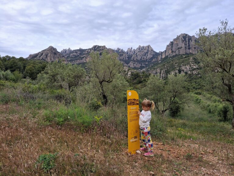 El camí de l’oli del Bruc