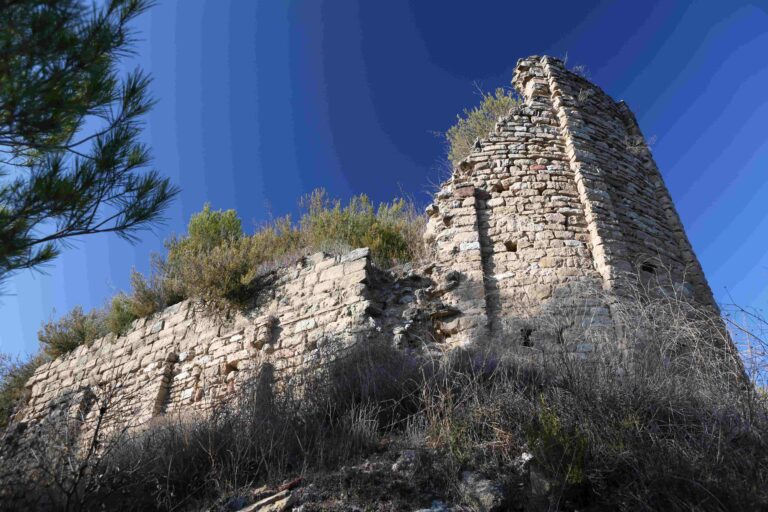 Castell de Castellolí