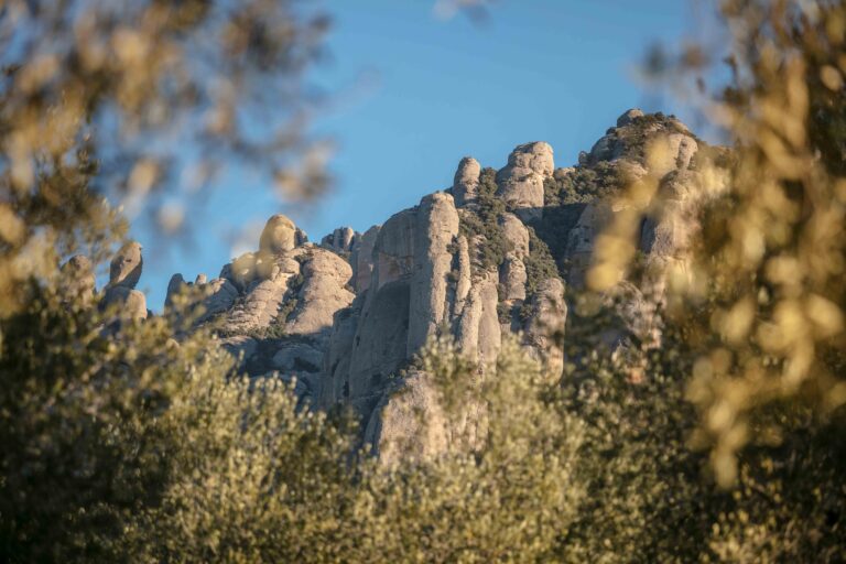 Vistes a Montserrat