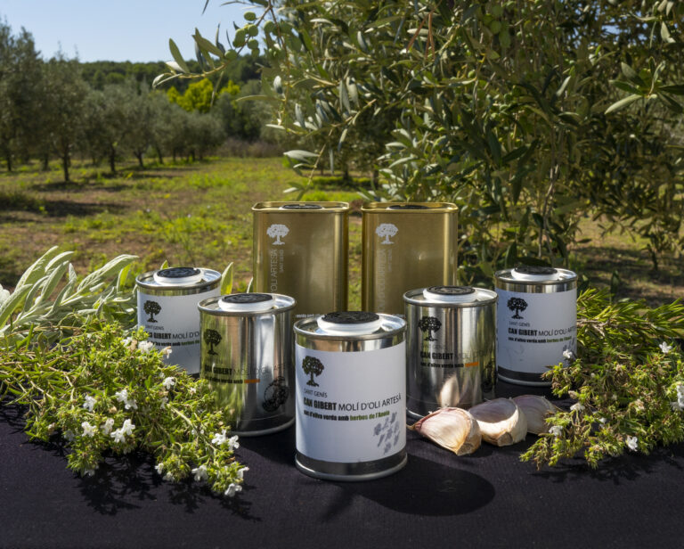 Visita i tast al Molí d’oli de Can  Gibert