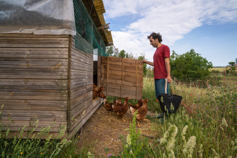 Experiències a la granja  amb Aliment Humà 