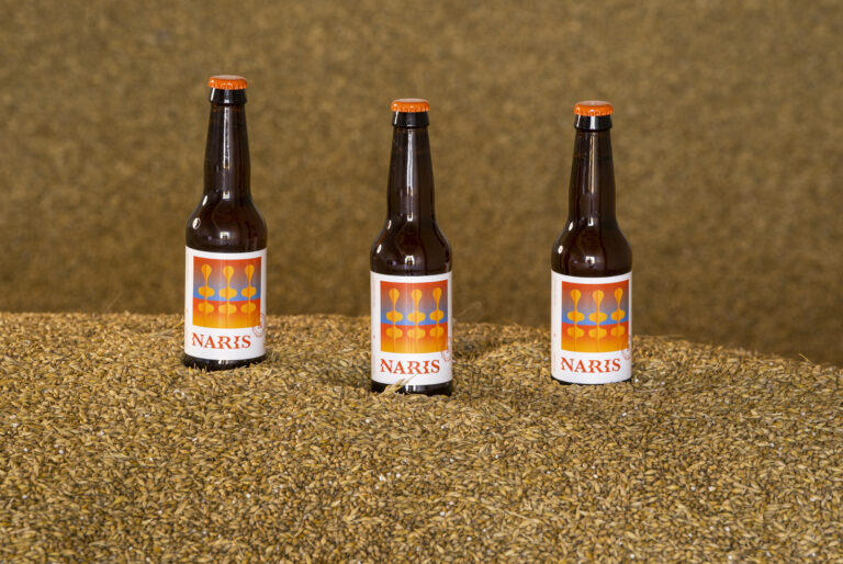 Elaboració de cervesa artesana en grup