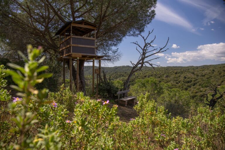 Camí Vell de Can Ribera