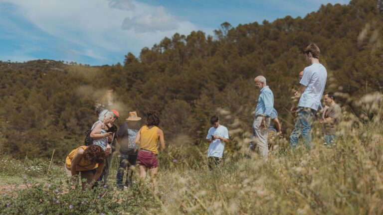 Sortida etnobotànica: un viatge pels sabors i els secrets de la natura  