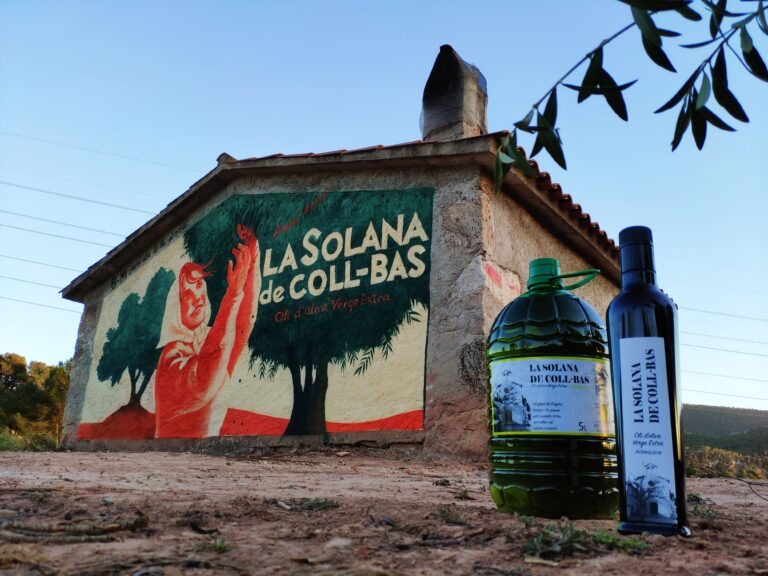 Visita i tast d’oli entre oliveres regeneratives 