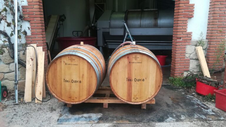 Vinyes que atrapen